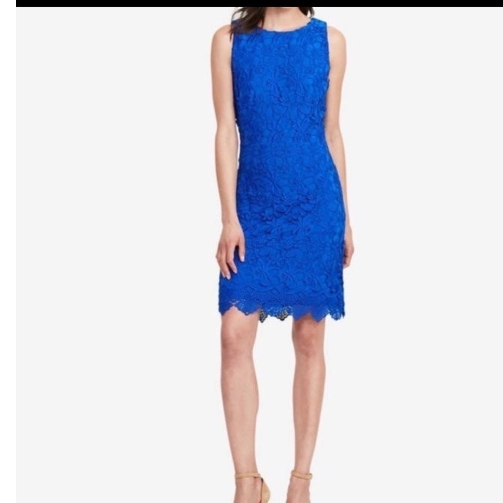 Lauren Ralph Lauren Royal Blue Floral Lace Sheath Dress Size 10 Cocktail Event